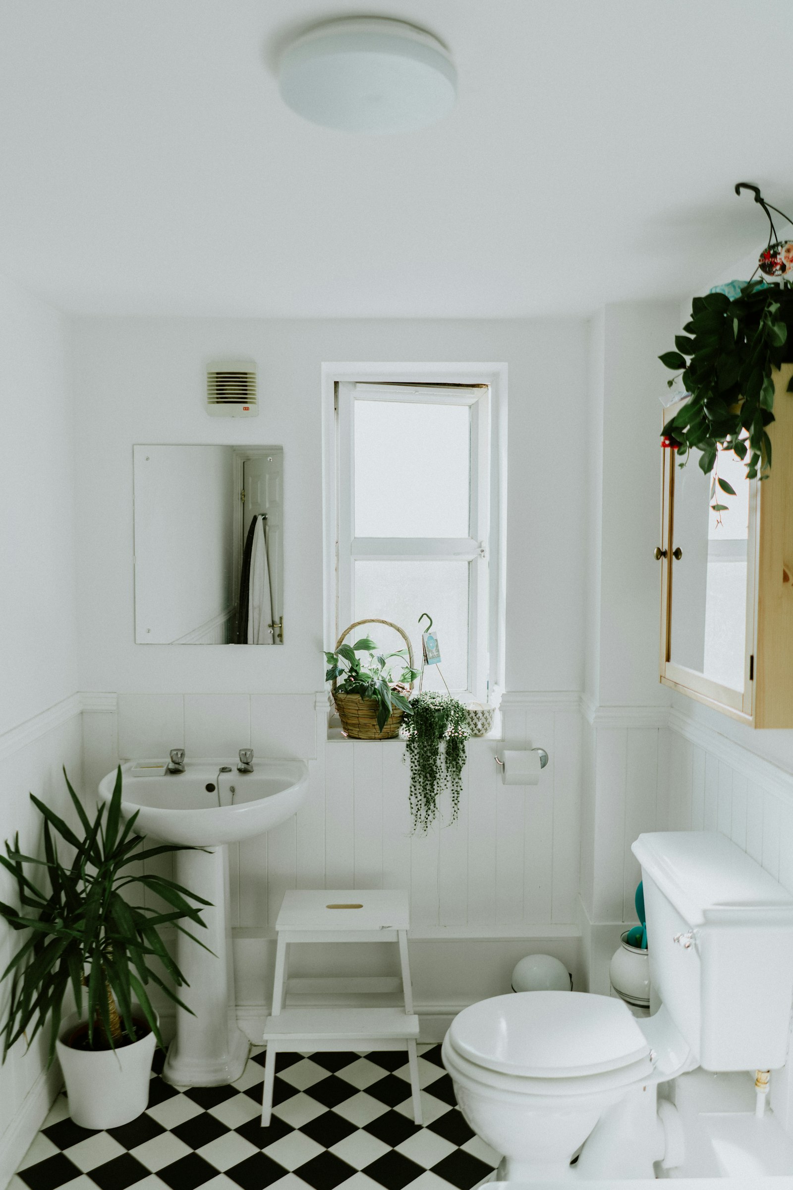 Crimnson Ct bathroom before